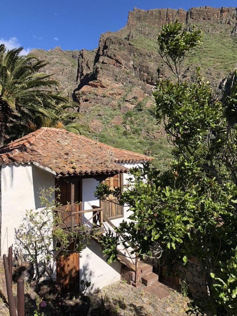 Home2Book El Encanto De La Torre I Santa Cruz de Tenerife Zewnętrze zdjęcie